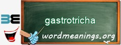 WordMeaning blackboard for gastrotricha